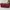 Tas Stradivarius Original - Sling Bag (Maroon) photo 6