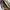Guess  photo 4