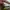 Adidas NMD R1 Chalk White Semi Solar Yellow photo 6