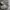 Adidas Love Edition Full White photo 6
