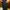 Timberland Cargo Long Pants - Work Pants Cargo Timberland photo 6