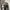 Head Black Coach Jacket photo 4