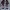 Jordan Defy SP White Red Black photo 5