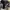 “APM” Dark Prewash Contrast Fade Jeans Pants (Regular Fit) photo 6
