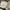Jam Tangan Smartwatch Eggel Tempo 2 photo 2