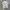 T-shirt Carhartt Signature photo 6
