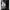 Vest Primaloft by freak store photo 7