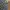 Jungle Stroom Wool photo 3