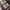 merchandise anime kimetsu no yaiba season 2  Official Movie  photo 3
