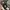 merchandise anime kimetsu no yaiba season 2  Official Movie  photo 5
