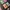 merchandise anime kimetsu no yaiba season 2  Official Movie  photo 3