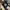 merchandise anime kimetsu no yaiba season 2  Official Movie  photo 1