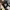 Merchandise Anime Kimetsu No Yaiba Season 2  Official Movie 