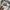 Issey Miyake Luxury Avant Garde Trench coat Pria gray photo 3