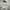 Issey Miyake Luxury Avant Garde Trench coat Pria gray photo 6