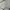 Issey Miyake Luxury Avant Garde Trench coat Pria gray photo 7
