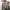 Levi's Streetwear Casual Sweatshirt Wanita pink gray photo 1