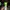 Avant Garde Wanita green photo 1
