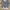 Streetwear Skater Sweatshirt Pria multicolor white black blue photo 2