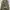Original Disney jaket parka army photo 7
