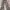 cargo highwaist jeans vshopbrand photo 3