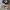 Converse CT All Star Hi American Eagle Rare Art ❤️‍🔥