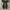 Converse CT All Star Hi American Eagle Rare Art ❤️‍🔥 photo 8
