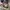 Converse CT All Star Hi American Eagle Rare Art ❤️‍🔥 photo 4