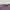 KAOS LE COQ SPORTIF VITNAGE BAJU T-SHIRT PURPLE ORIGINAL photo 4