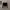 Crop Long Slave Krah photo 1
