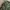 BUCKAROO PARKA VINTAGE PUNK Y2K ARMY  photo 6