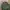 BUCKAROO PARKA VINTAGE PUNK Y2K ARMY  photo 2