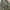 BUCKAROO PARKA VINTAGE PUNK Y2K ARMY  photo 4