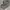 Pashmina Dubai viscose photo 1