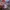 Alice in wonderland disney princesses anime cartoon movie photo 8