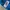 Columbia Gorpcore Sportswear Parka Pria blue photo 4