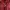 STUSSY WORLDTOUR RED HOODIE photo 4