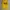 STUSSY SEATTLE YELLOW HOODIE photo 1