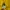 STUSSY SEATTLE YELLOW HOODIE photo 4