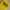 STUSSY SEATTLE YELLOW HOODIE photo 2