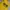 STUSSY SEATTLE YELLOW HOODIE