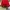 Topi Modern Booth San Fransisco 49ers Big Logo photo 4