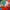 Topi Modern Booth Miami Dolphin Dan Marino Big Logo photo 1