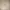 Polo Ralph Lauren Casual Minimalist Casual shirt Pria khaki photo 4
