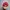 Topi Capivating Headgear photo 3