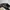 Topi Chase Nascar photo 6