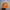 Topi Chase Nascar photo 1