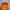 Topi Chase Nascar photo 4