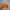 Topi Chase Nascar photo 3
