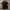 Armani	 Casual Polo shirt Pria black photo 1